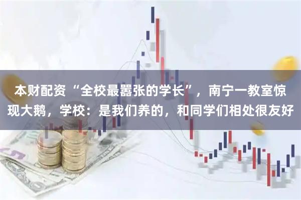 本财配资 “全校最嚣张的学长”，南宁一教室惊现大鹅，学校：是我们养的，和同学们相处很友好