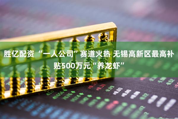 胜亿配资 “一人公司”赛道火热 无锡高新区最高补贴500万元“养龙虾”